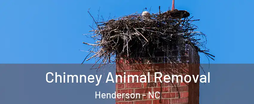  Chimney Animal Removal Henderson - NC