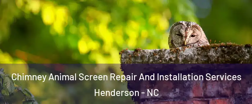  Chimney Animal Screen Repair And Installation Services Henderson - NC