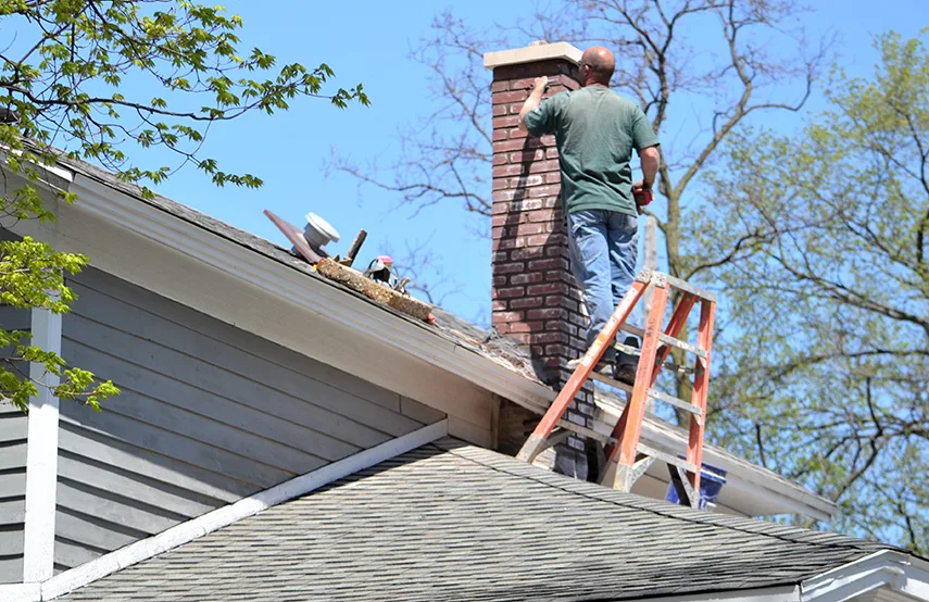 Chimney & Fireplace Inspections Services in Henderson, NC