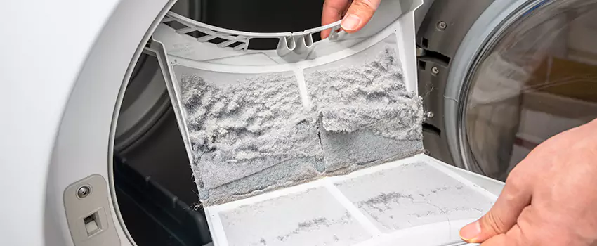 Best Dryer Lint Removal Company in Henderson, North Carolina