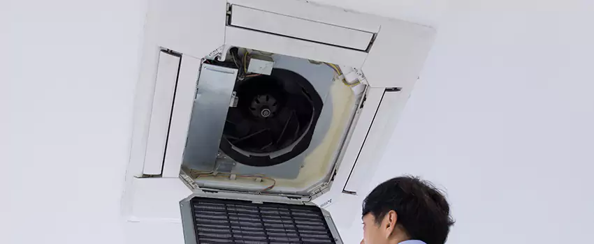 Benefits of Professional Air Duct Cleaning in Henderson, North Carolina