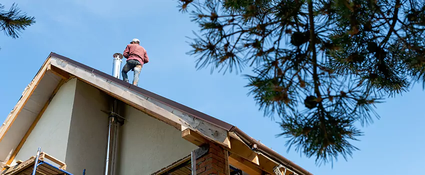 Birds Removal Contractors from Chimney in Henderson, NC