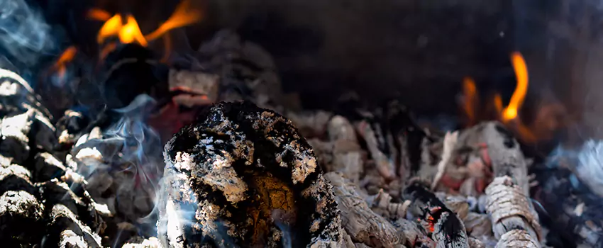 Creosote Removal Experts in Henderson, NC