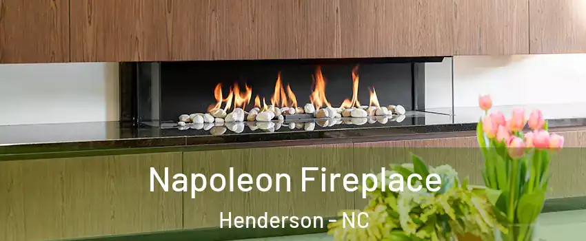  Napoleon Fireplace Henderson - NC